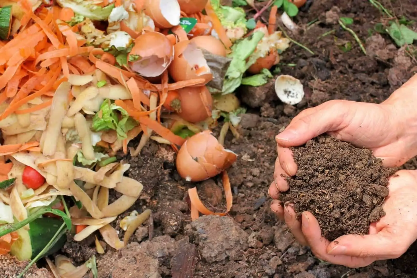 6 Best Compost Grinders For Food Waste in 2020
