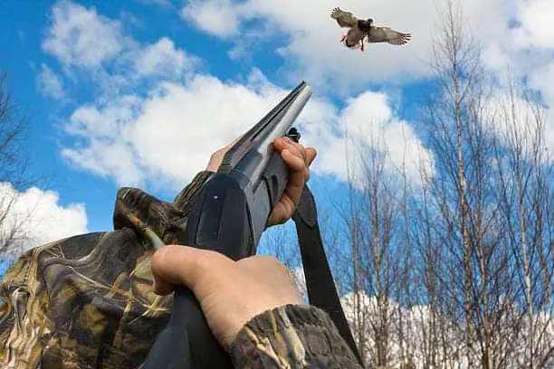 Which Shotgun Chokes Are Really Best For Hunting Small, Fast, Birds?