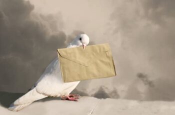 Love Letter! How Do Messenger Pigeons Know Where To Go?