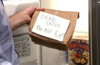 What Does “Dead Dove Do Not Eat” Mean? (Photos)