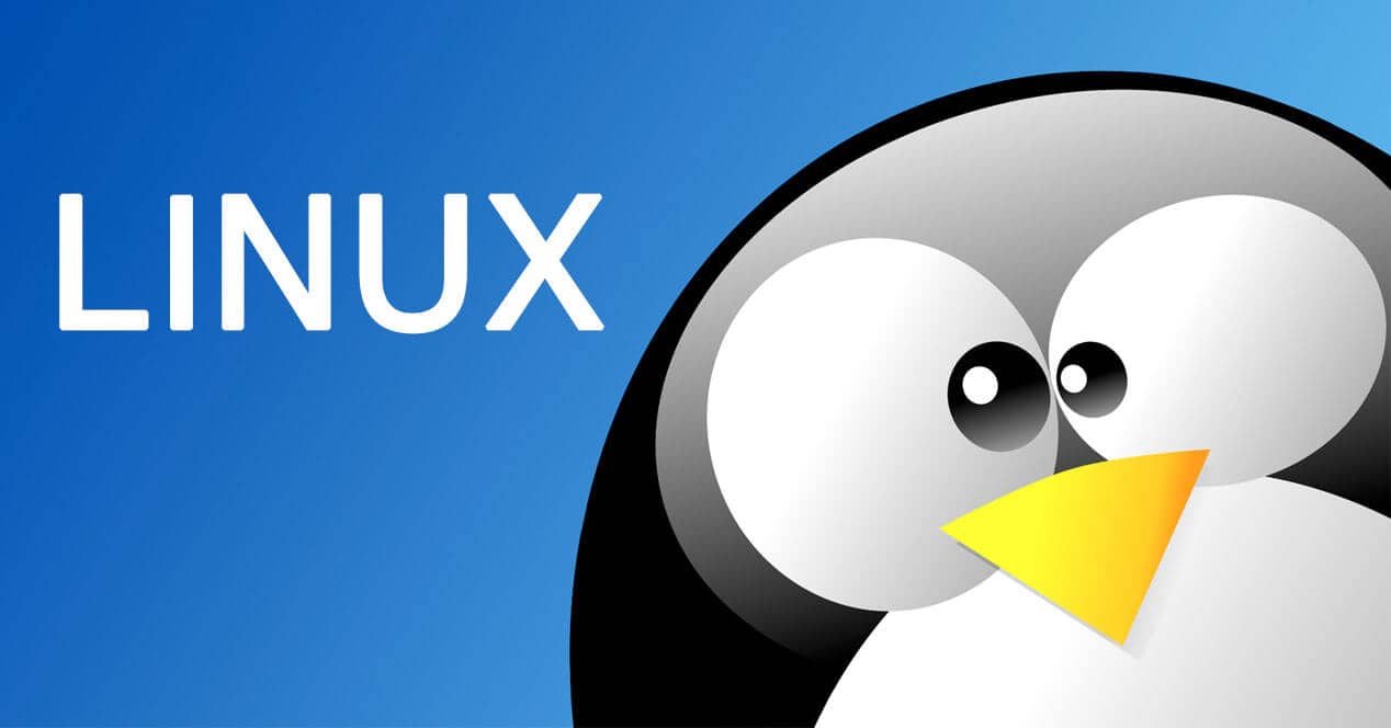Which Bird Is The Official Mascot of Linux