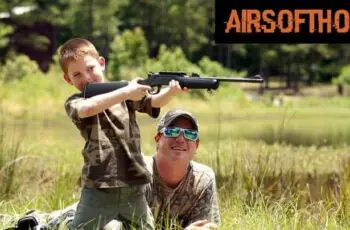 Can Airsoft Gun Kill A Squirrel? 3 Ways To Get Rid of Squirrels!