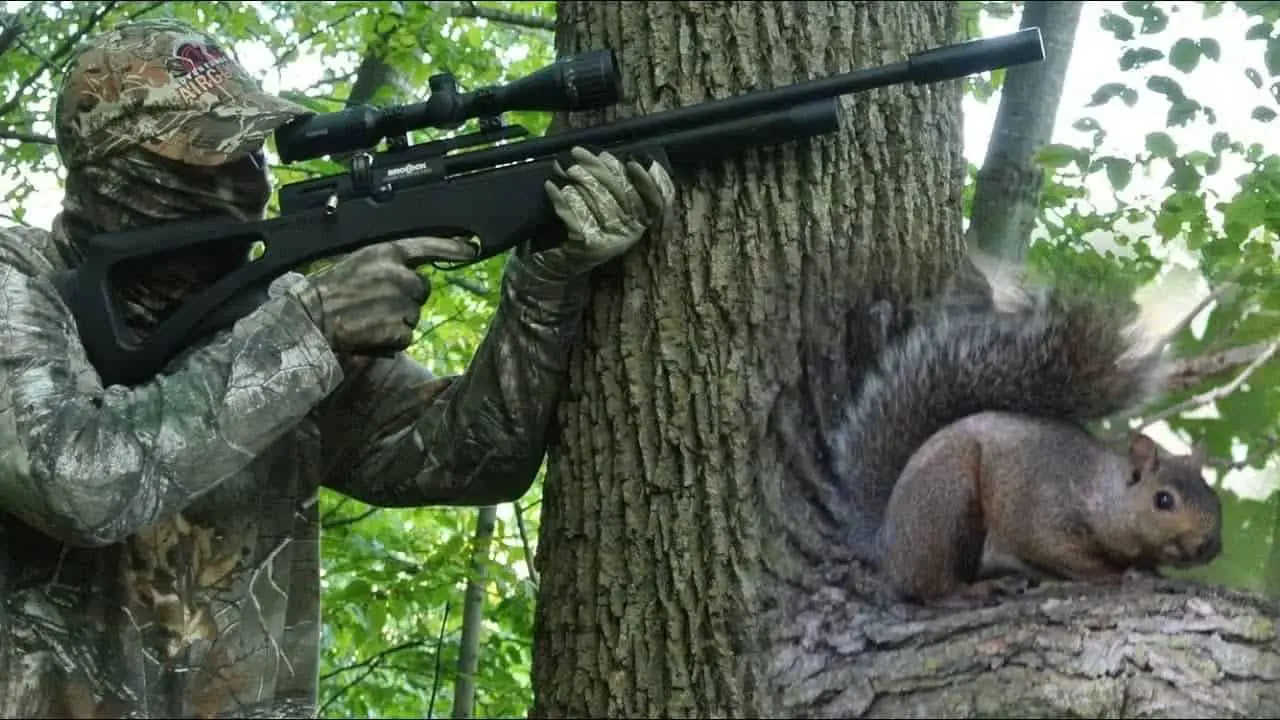 Can Airsoft Gun Kill A Squirrel