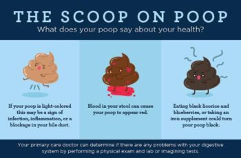 What Does Poop Taste Like & Why? (important)! - Into Yard