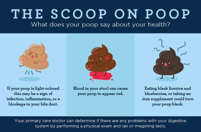 top-6-what-does-poop-taste-like-2022