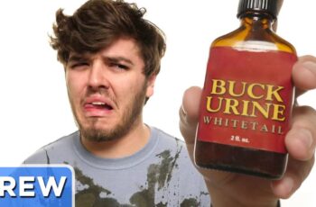 What Does Deer Urine Really Look & Smell Like?