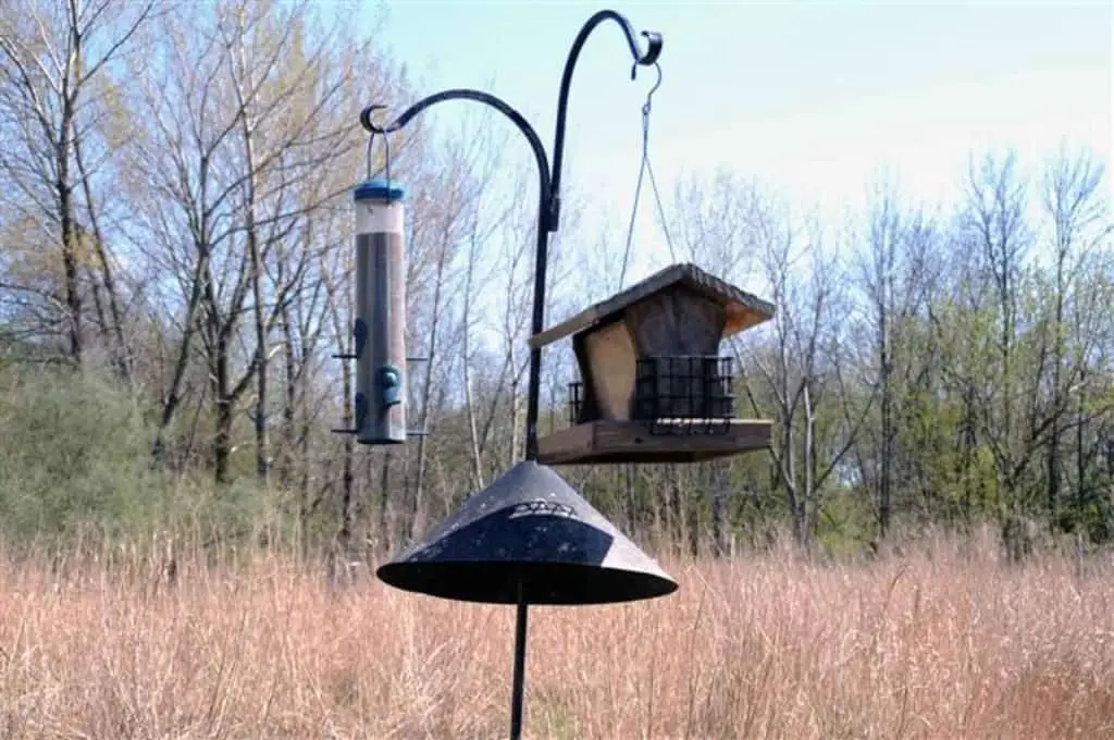 squirrel baffle for bird feeder