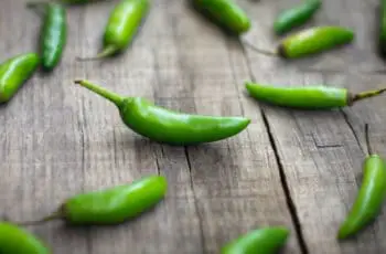Can Birds Eat Jalapenos? And Other Spicy Foods?