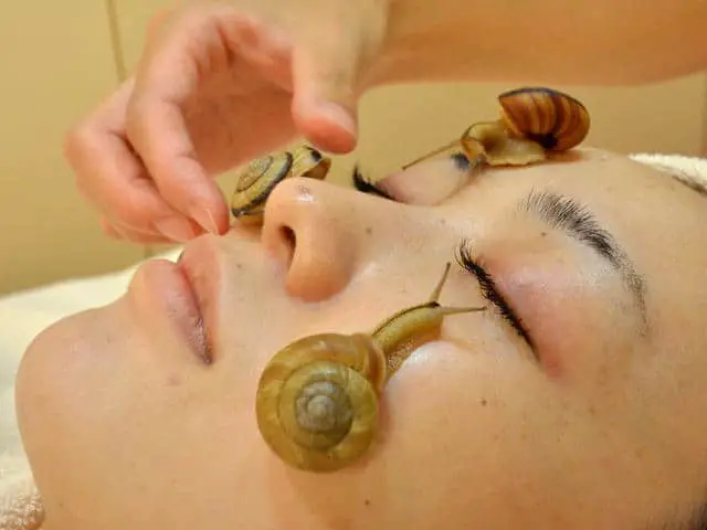 snail therapy
